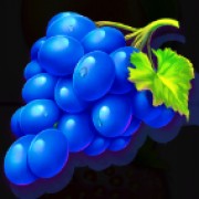 Symbol Weintrauben in Fruit Party 2